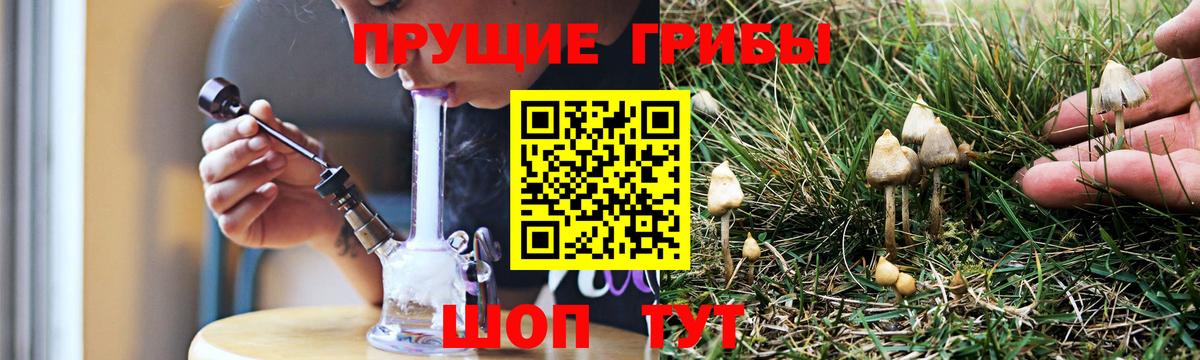Псилоцибиновые грибы прущие грибы  Вход с VPN  где продают   Северск  Галлюциногенные грибы Psilocybe 