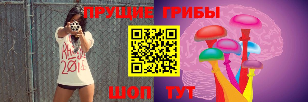 Галлюциногенные грибы прущие грибы Северск